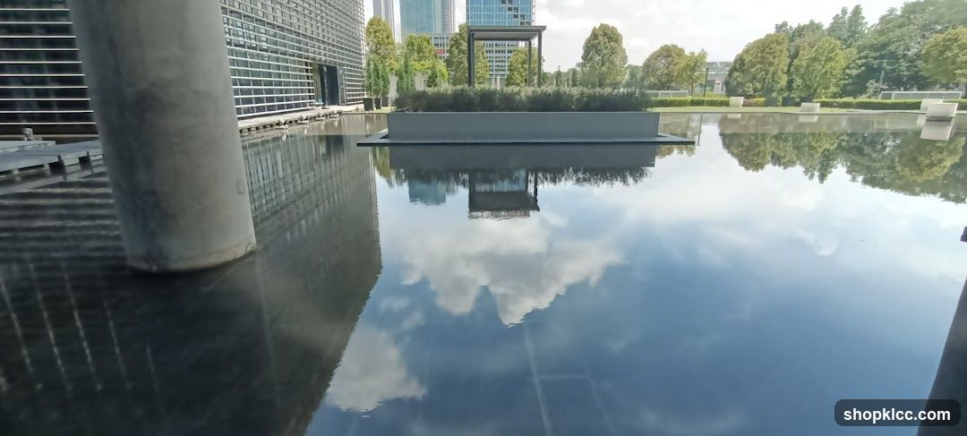 Reflections in a Water Feature