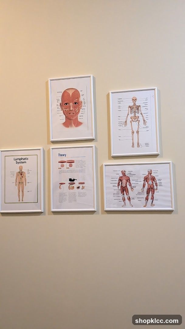 Anatomical Charts on Wall