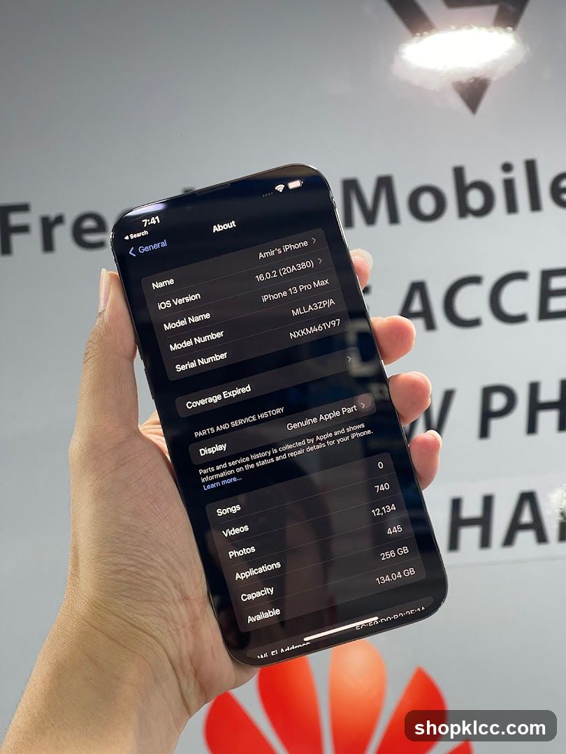 iPhone About Screen