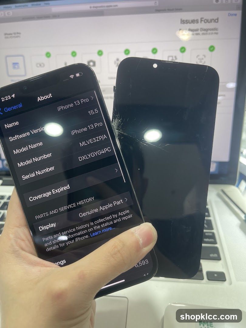 iPhone 13 Pro Diagnostic