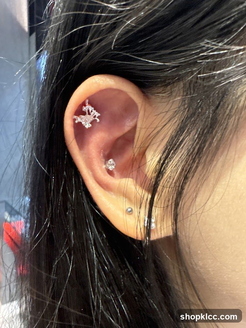 Ear Piercings