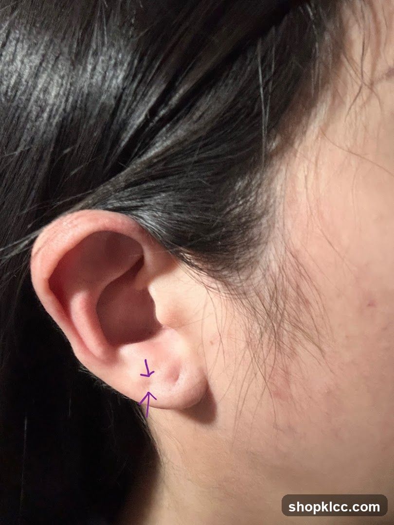 Ear with purple arrows