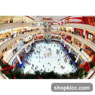 Ice Skating Rink in a Mall