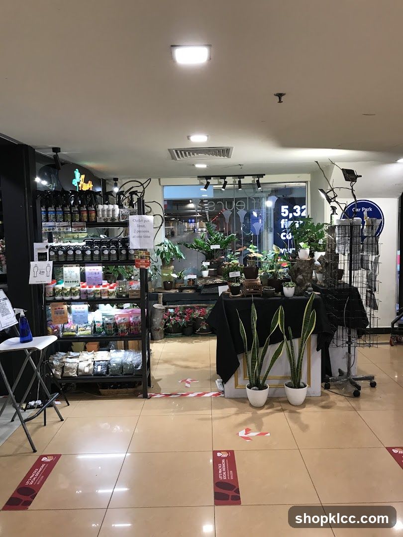 Indoor Plant Shop Display