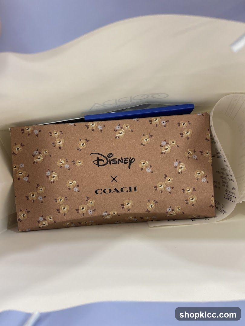 Disney x Coach Box
