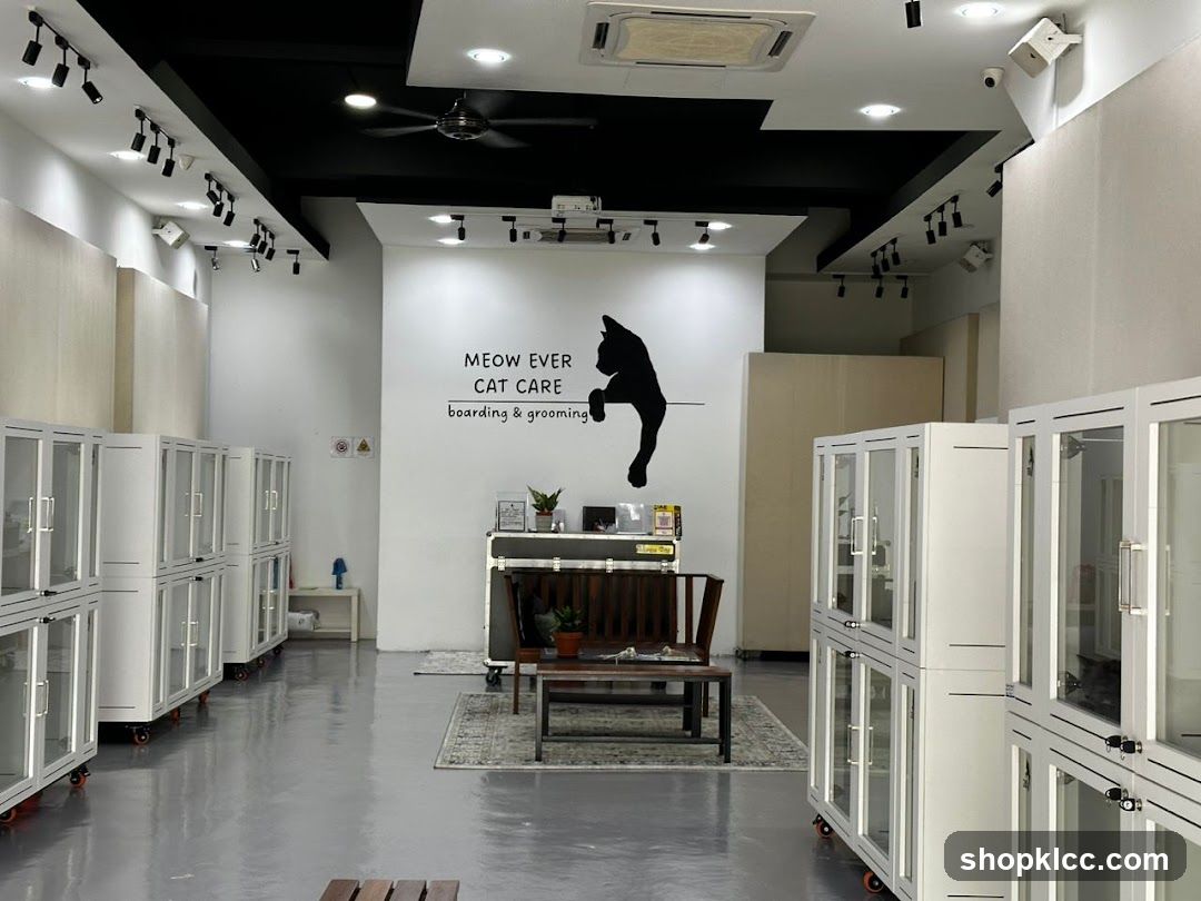 Meowever Cat Centre