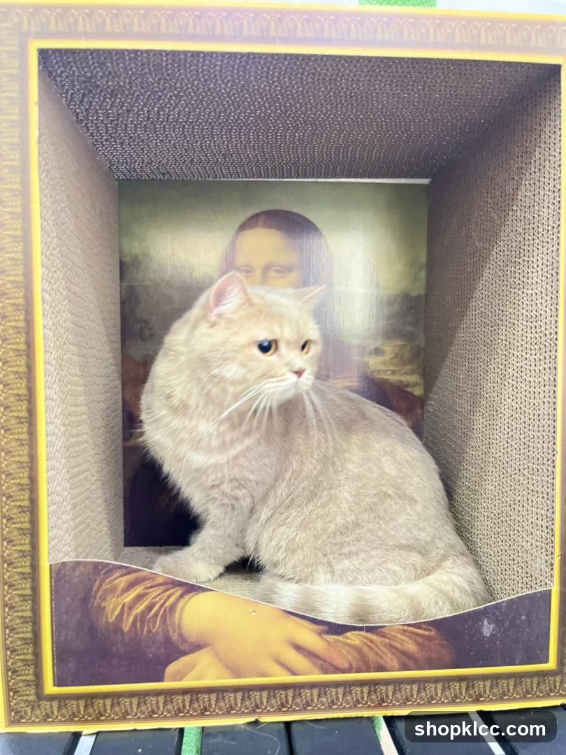 Cat in a Mona Lisa-themed box