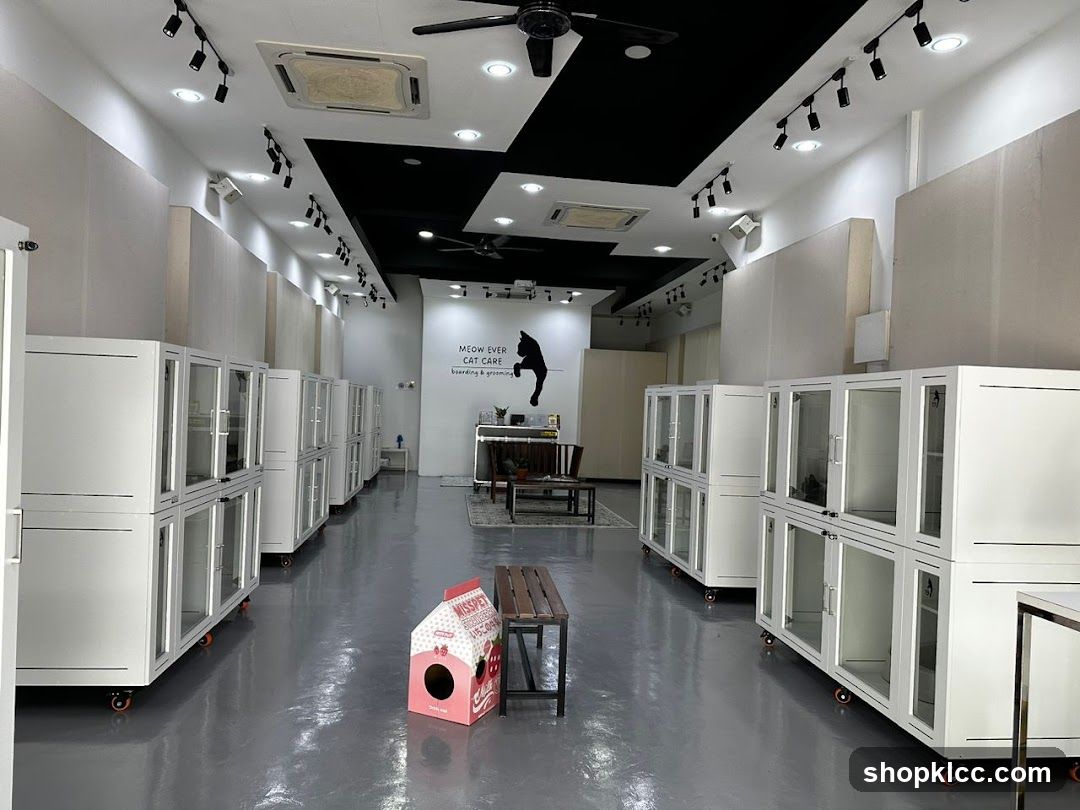 Cat Boarding and Grooming Facility