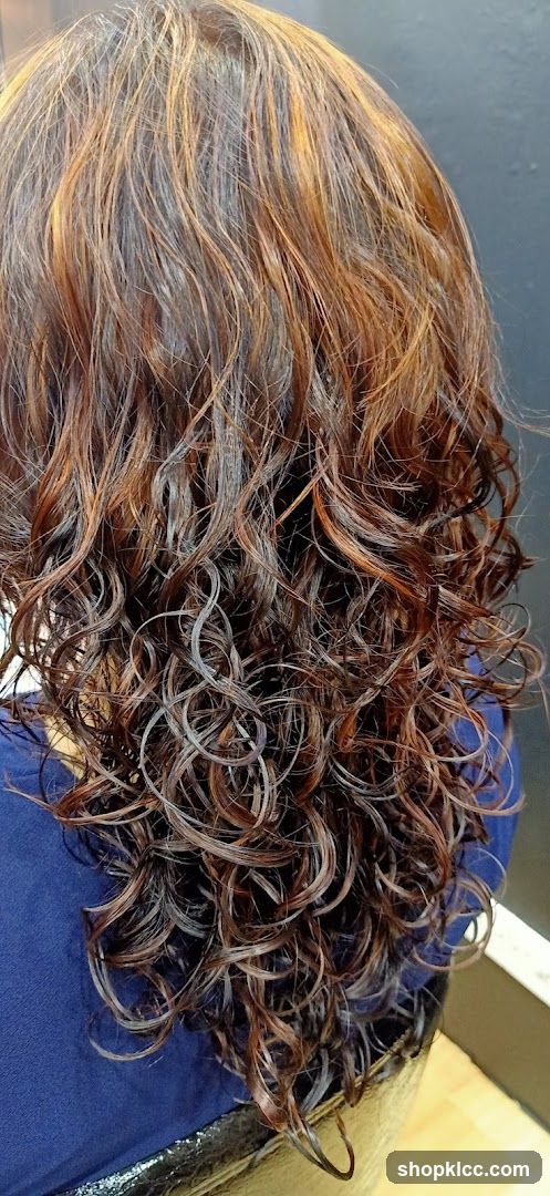 Wet, Curly Hair with Highlights