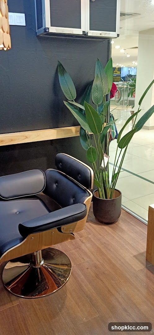 Salon Interior with Chair and Plant