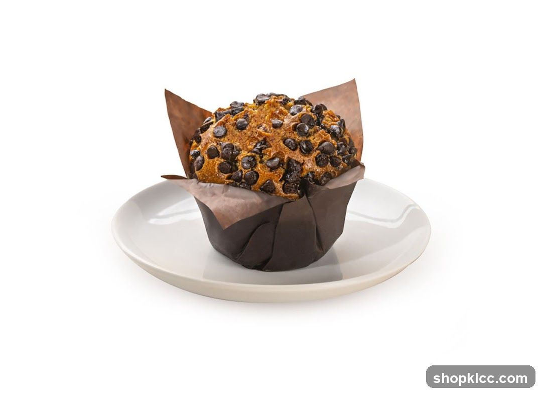 Chocolate Chip Muffin