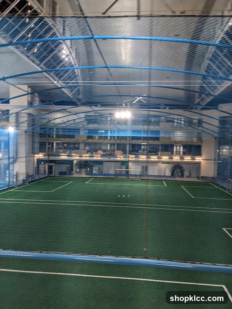 Indoor Soccer Field