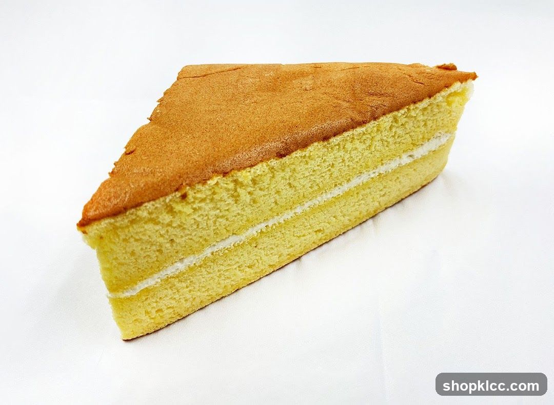 Slice of Cake