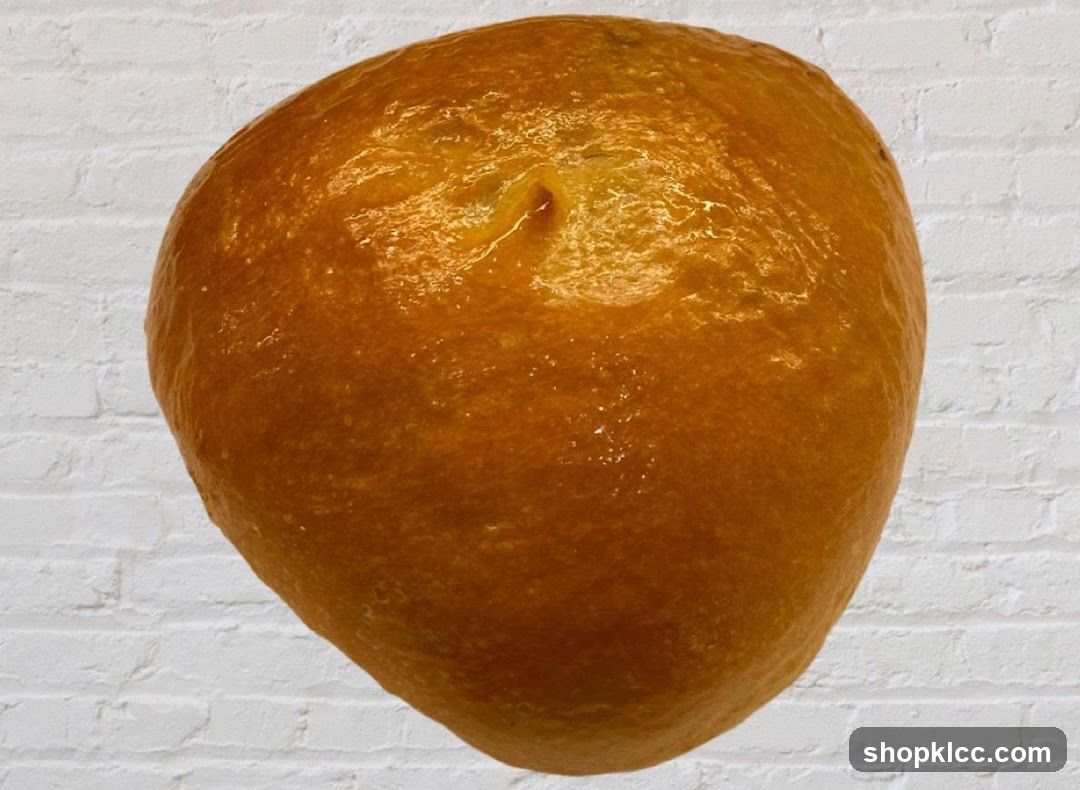 Golden Brown Pastry