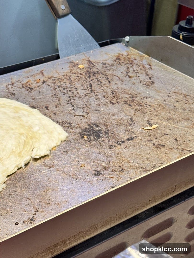 Griddle with Tortilla and Spatula