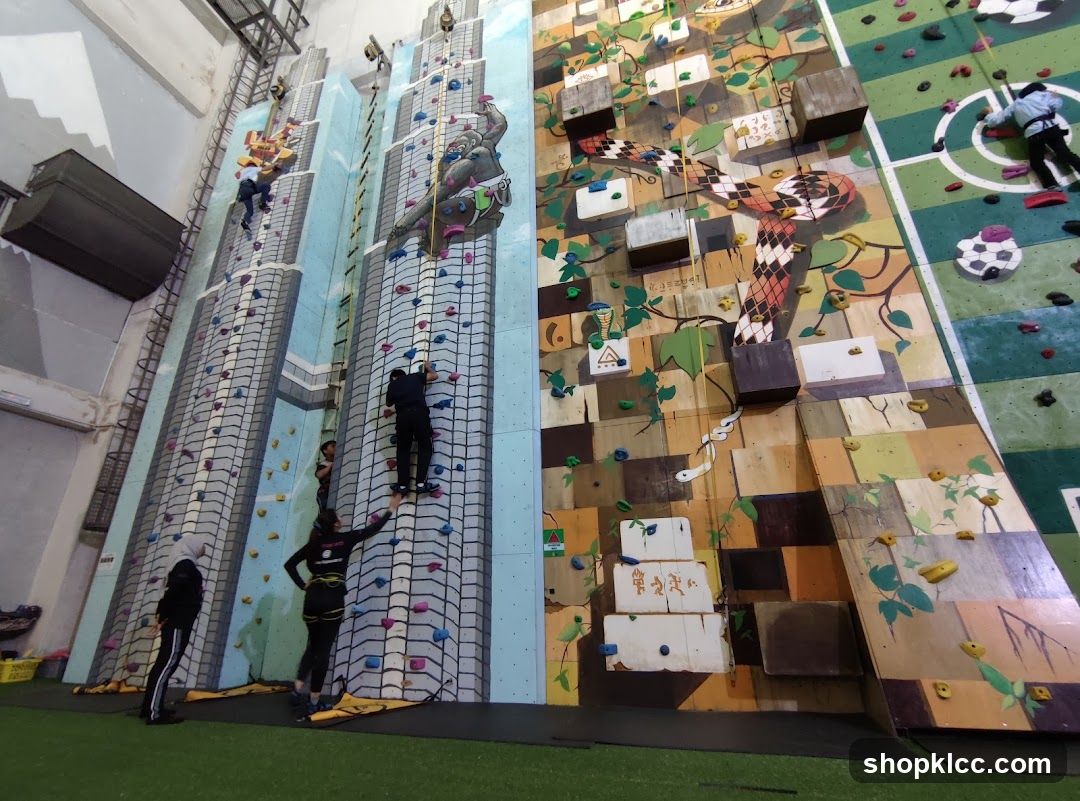 Indoor Climbing Walls
