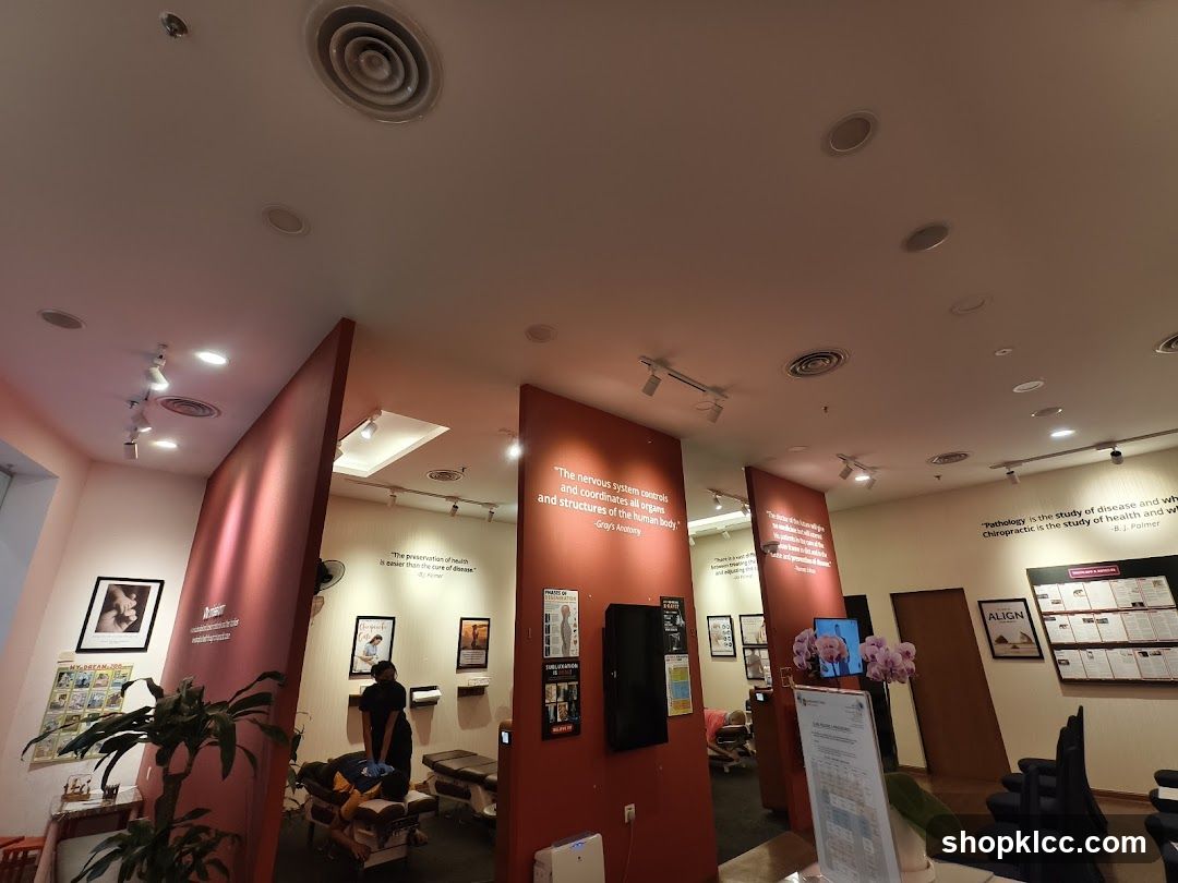Chiropractic Clinic Interior
