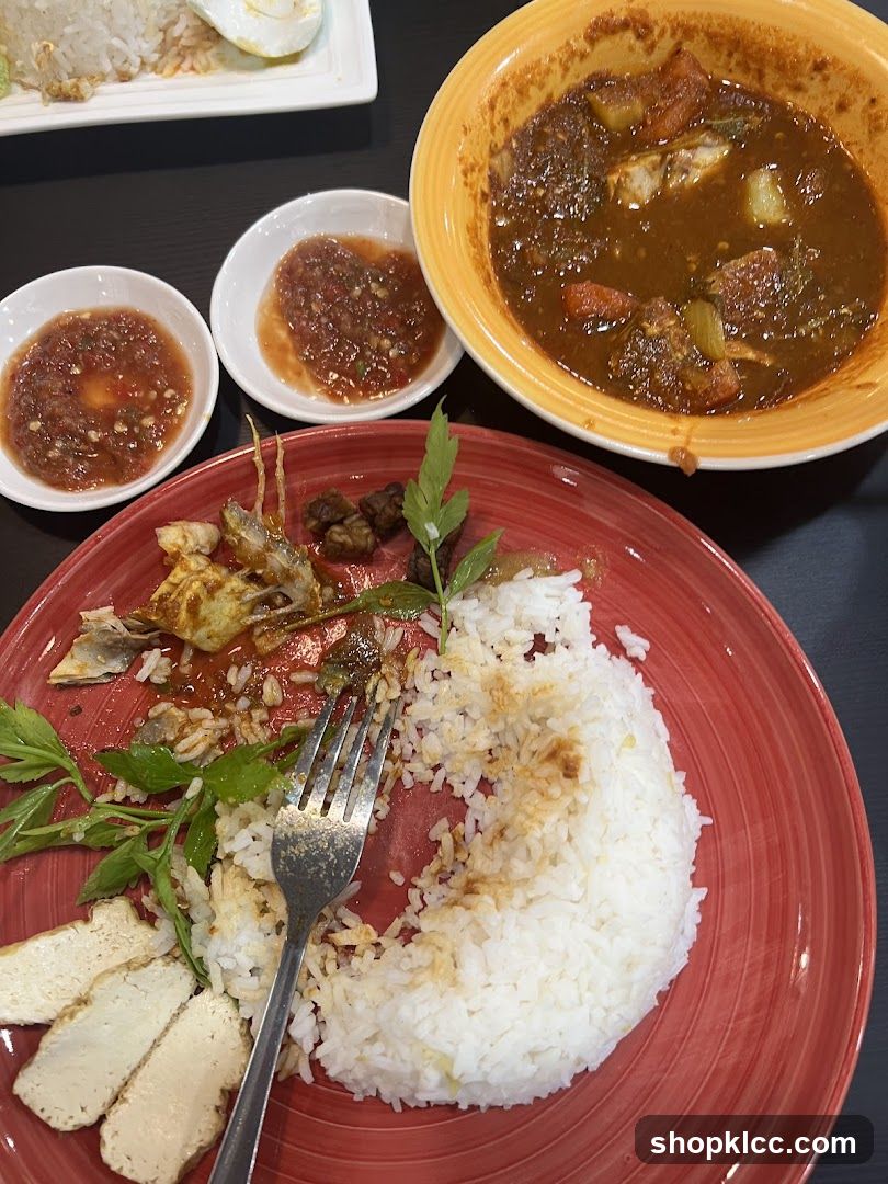 Meal with Rice and Curry