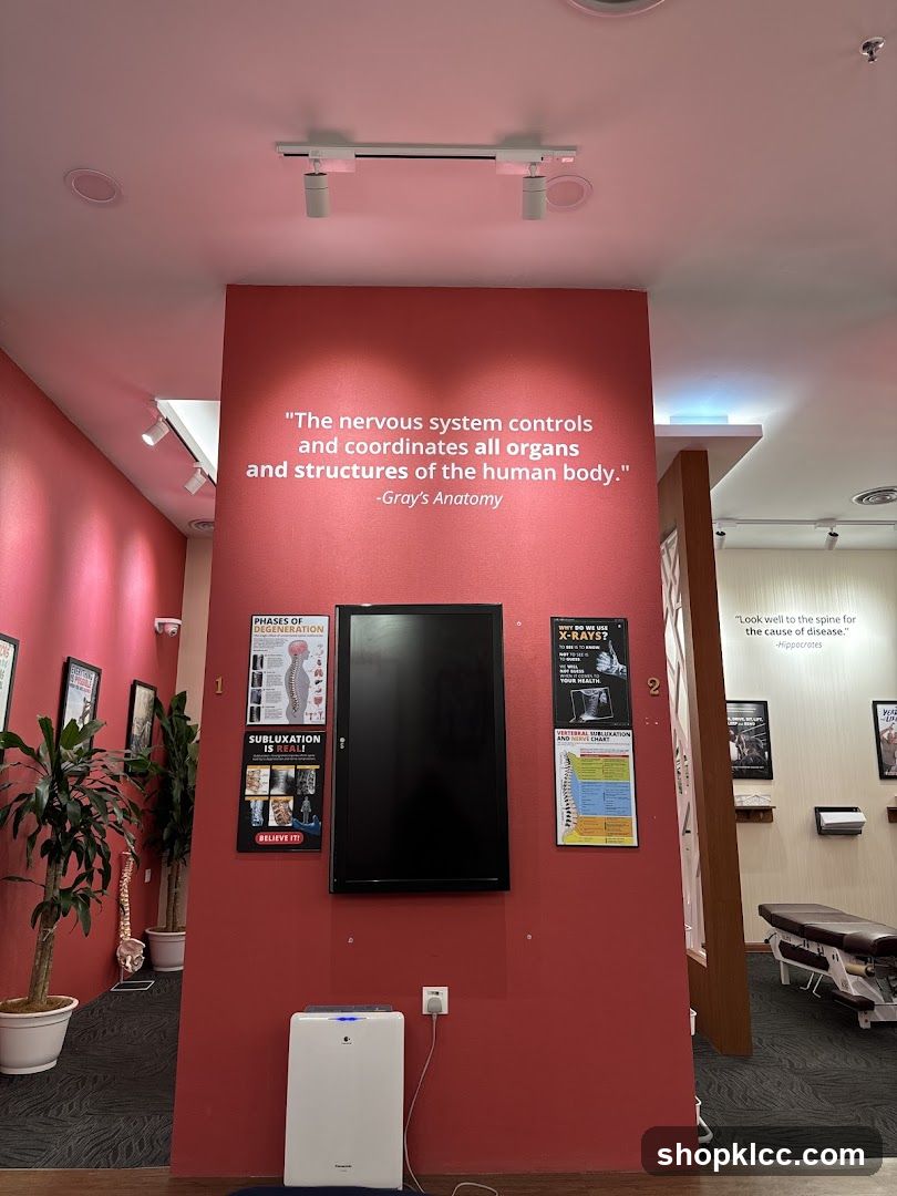 Chiropractic Office Interior