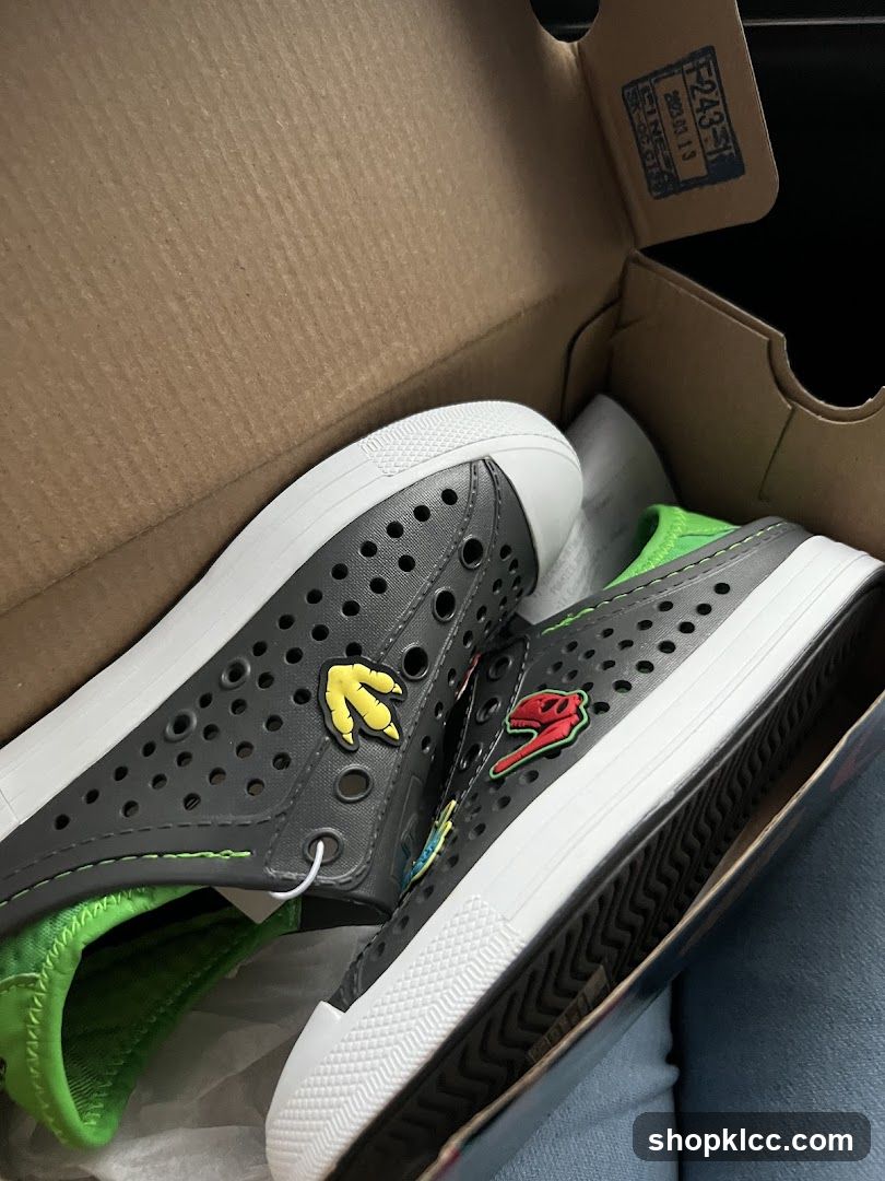 Dinosaur-themed shoes in a box