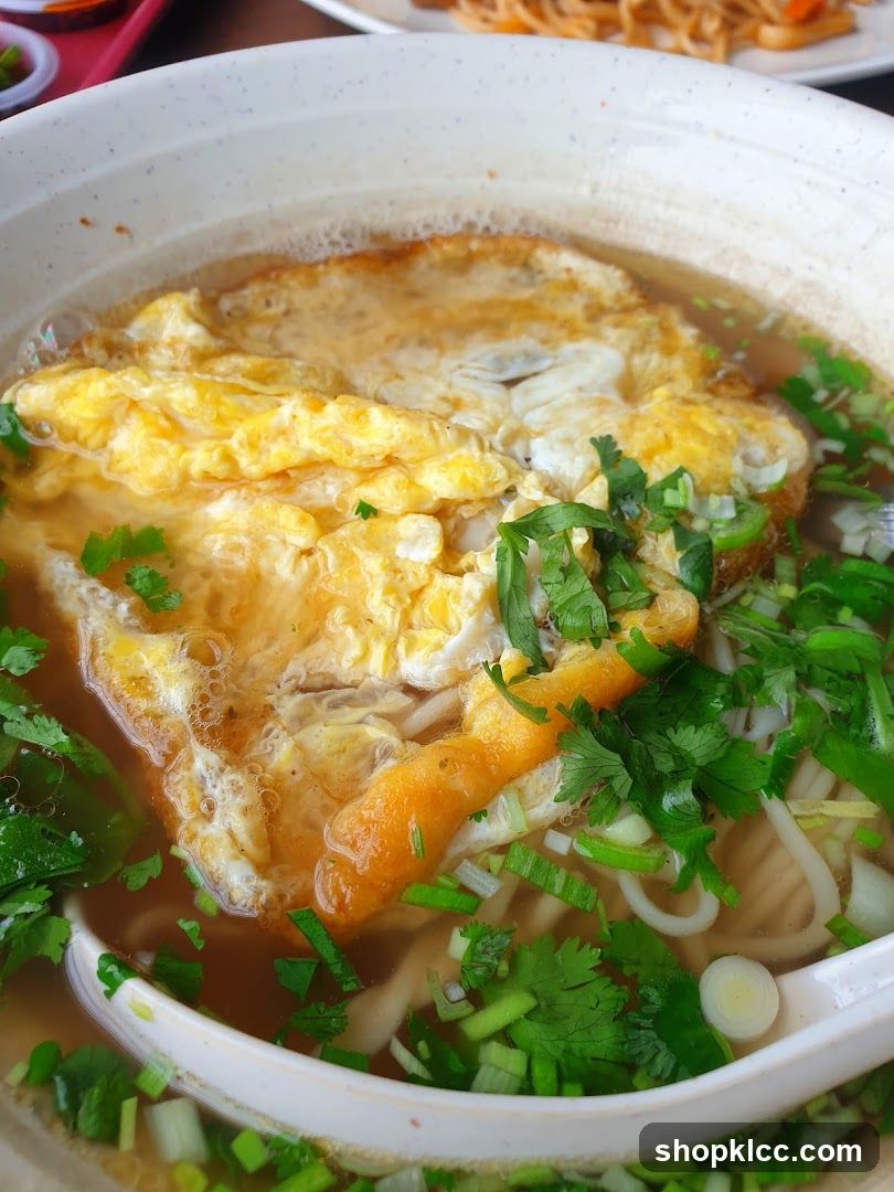 Noodle Soup with Omelet
