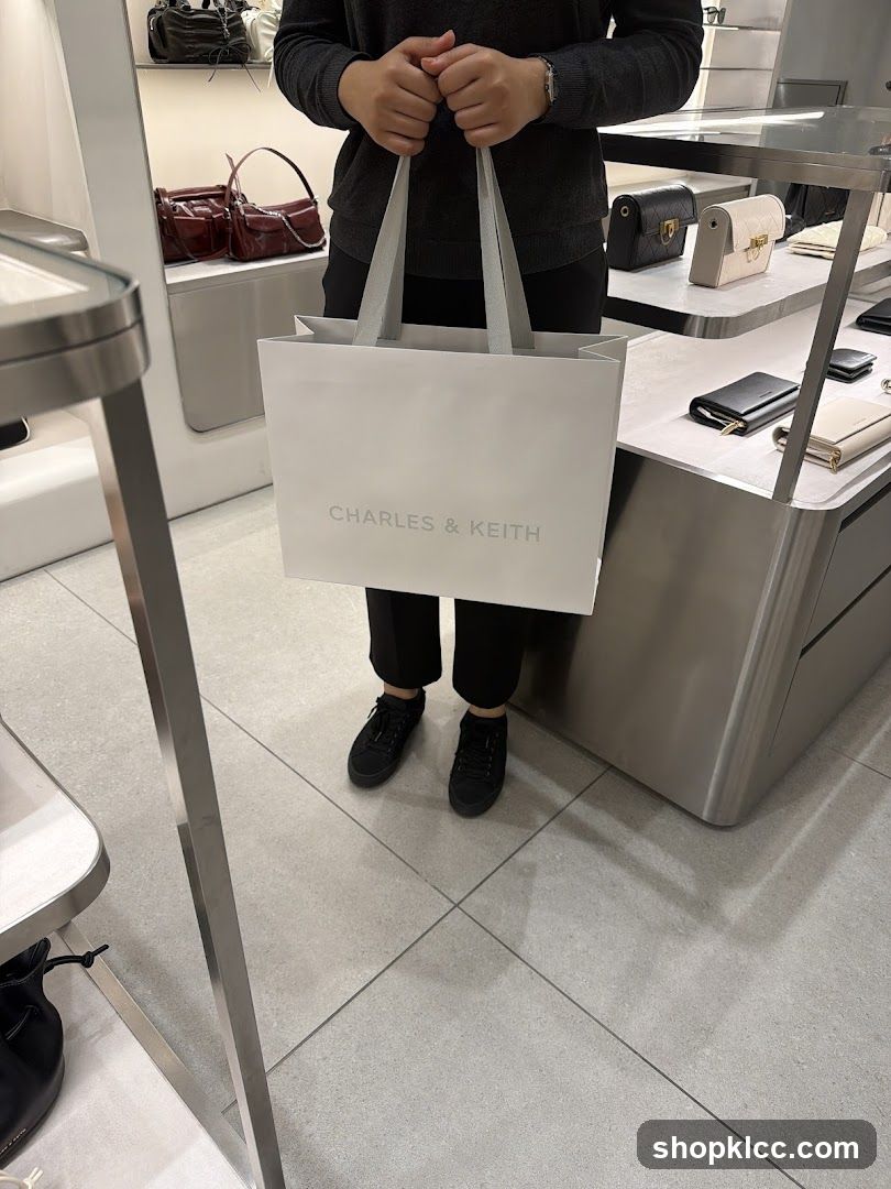Person holding a shopping bag