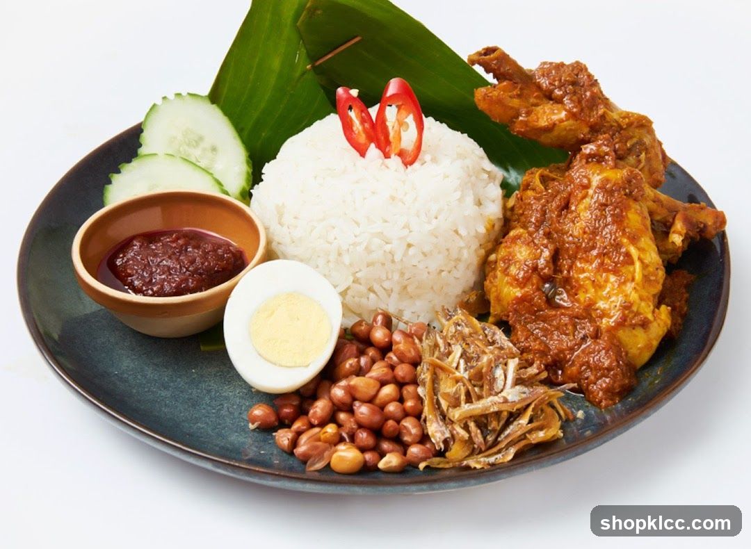 Nasi Lemak