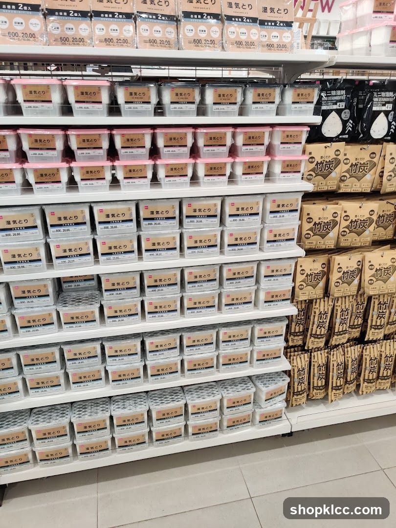 Dehumidifier Products on Shelves