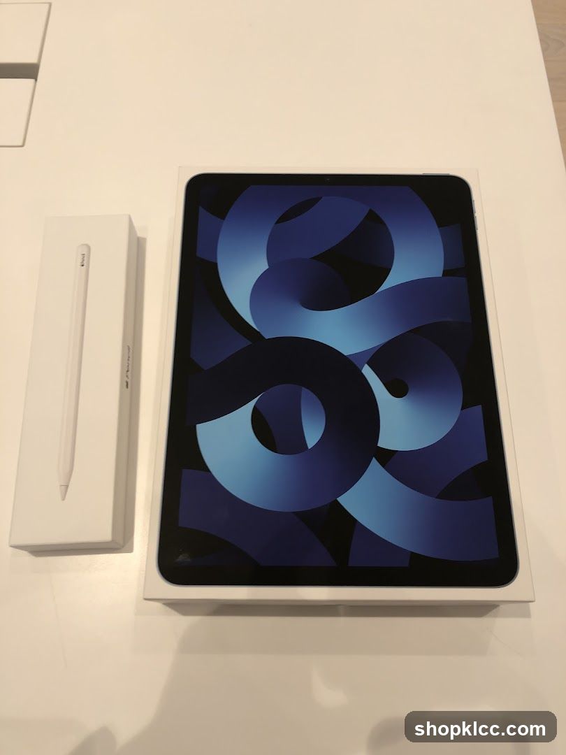 Apple iPad Air and Apple Pencil