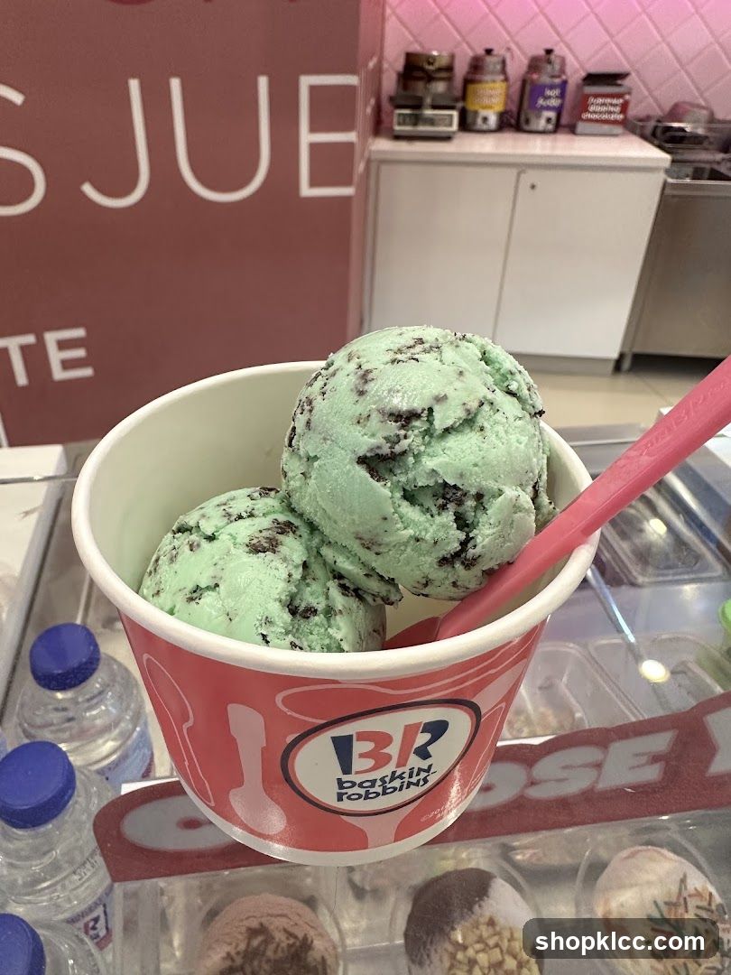 Mint Chocolate Chip Ice Cream