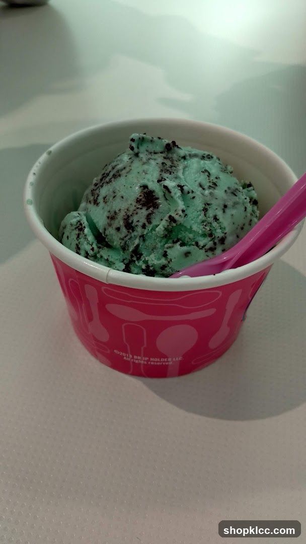 Mint Chocolate Chip Ice Cream