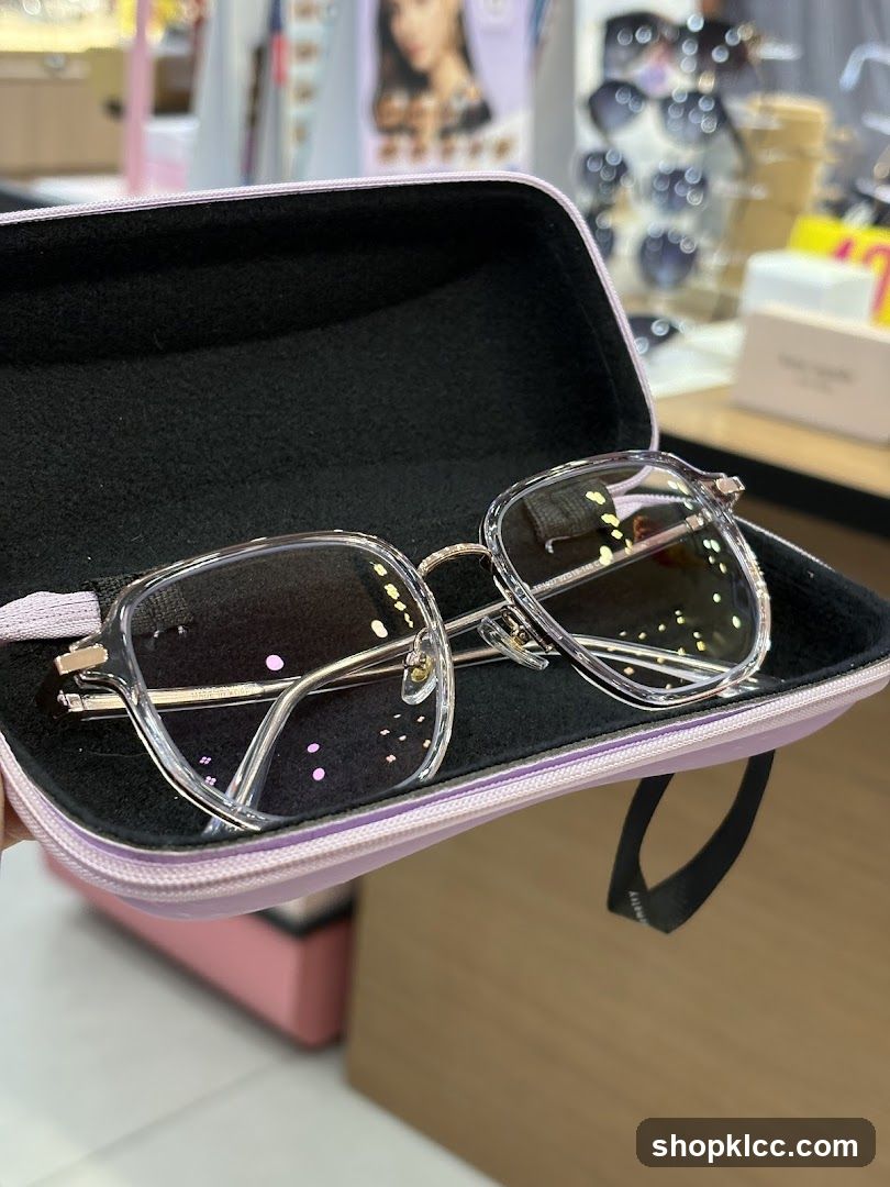 Eyeglasses in Case