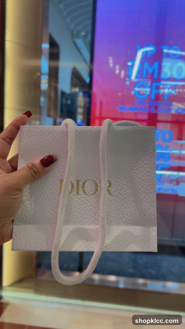 Dior Shopping Bag