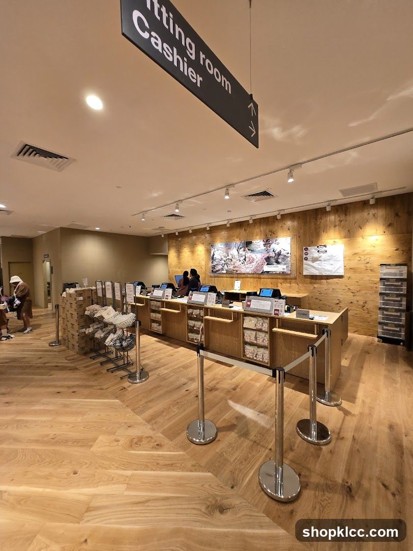 Store Interior with Cashier Area
