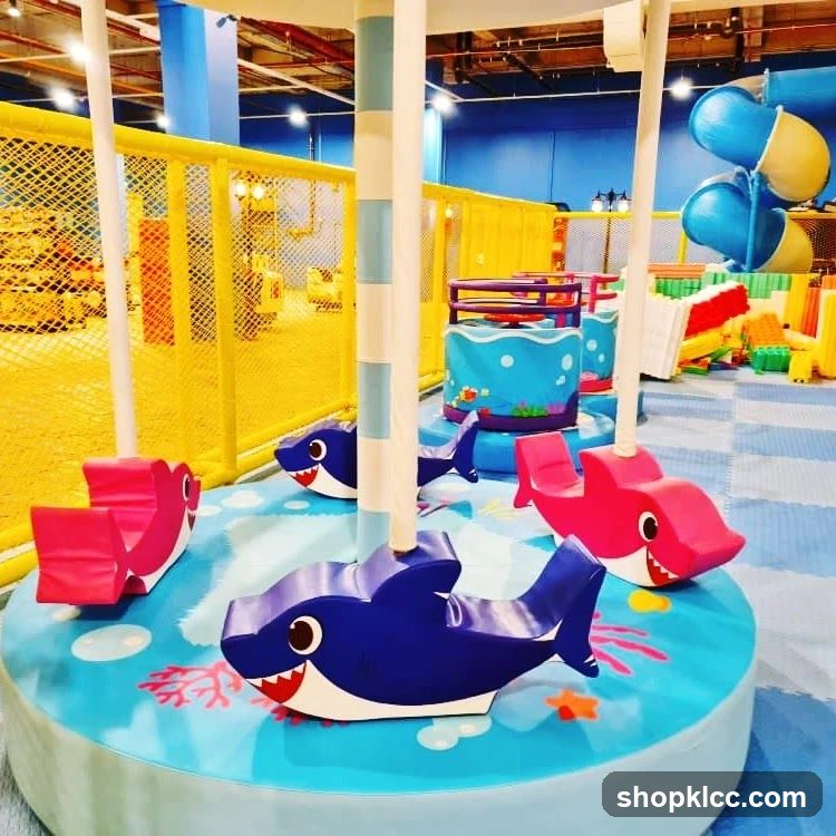 Indoor Playground Carousel