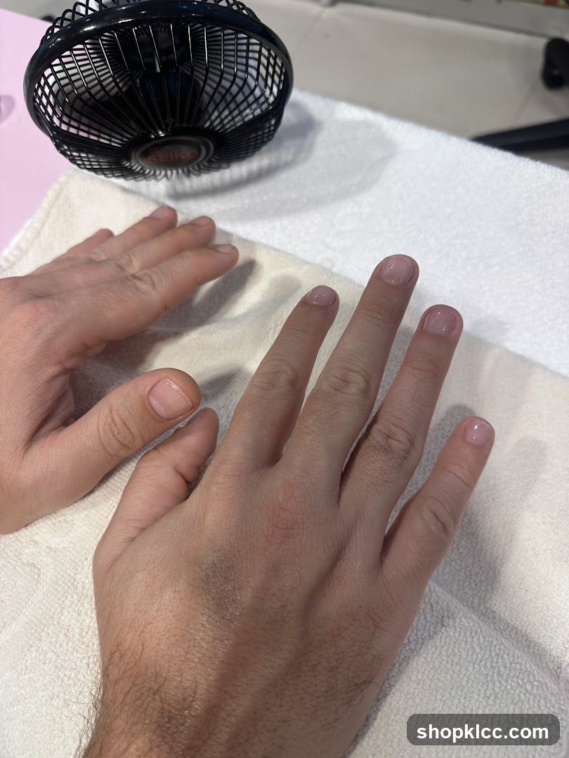 Manicured Hands with Fan