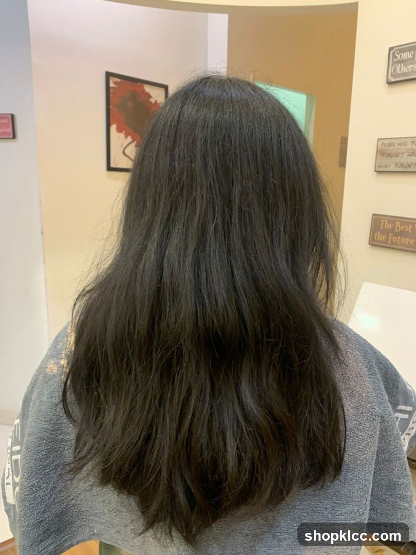 D Lotus Salon