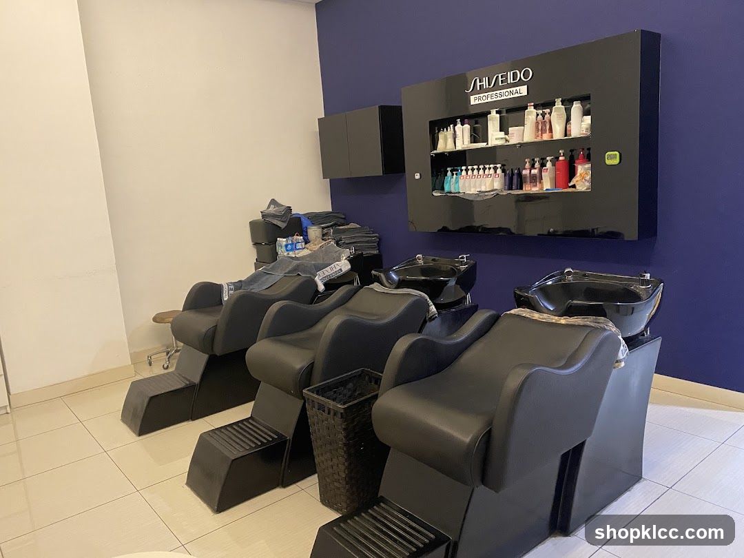 Hair Salon Washing Stations