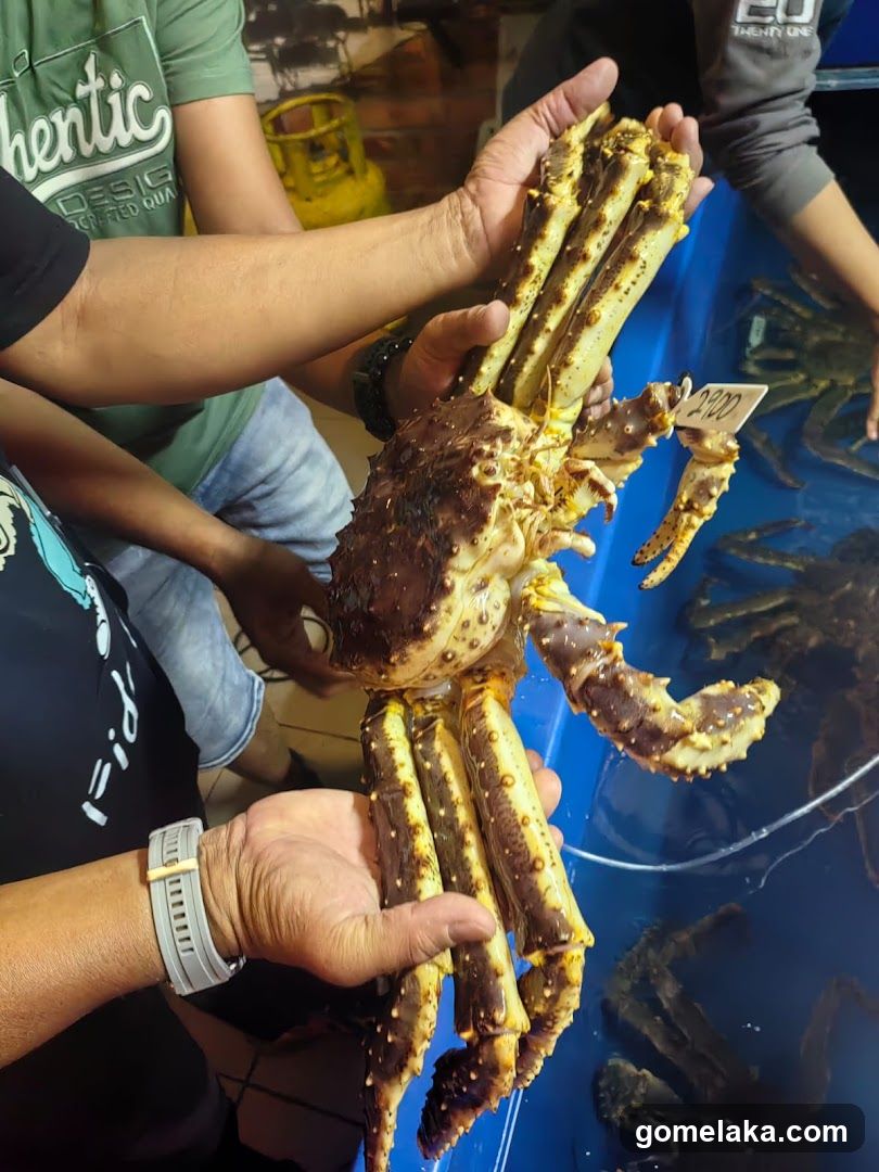 Cengkerang Seafood Jumble