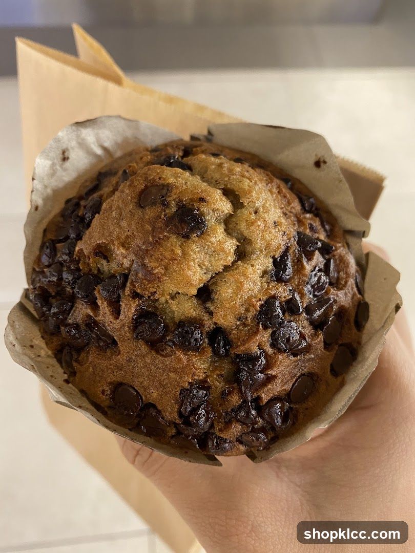 Chocolate Chip Muffin