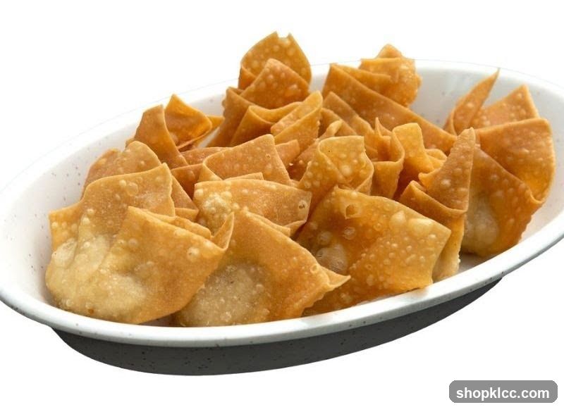 Fried Wonton Chips