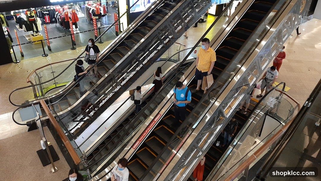 People on Escalators in a Mall