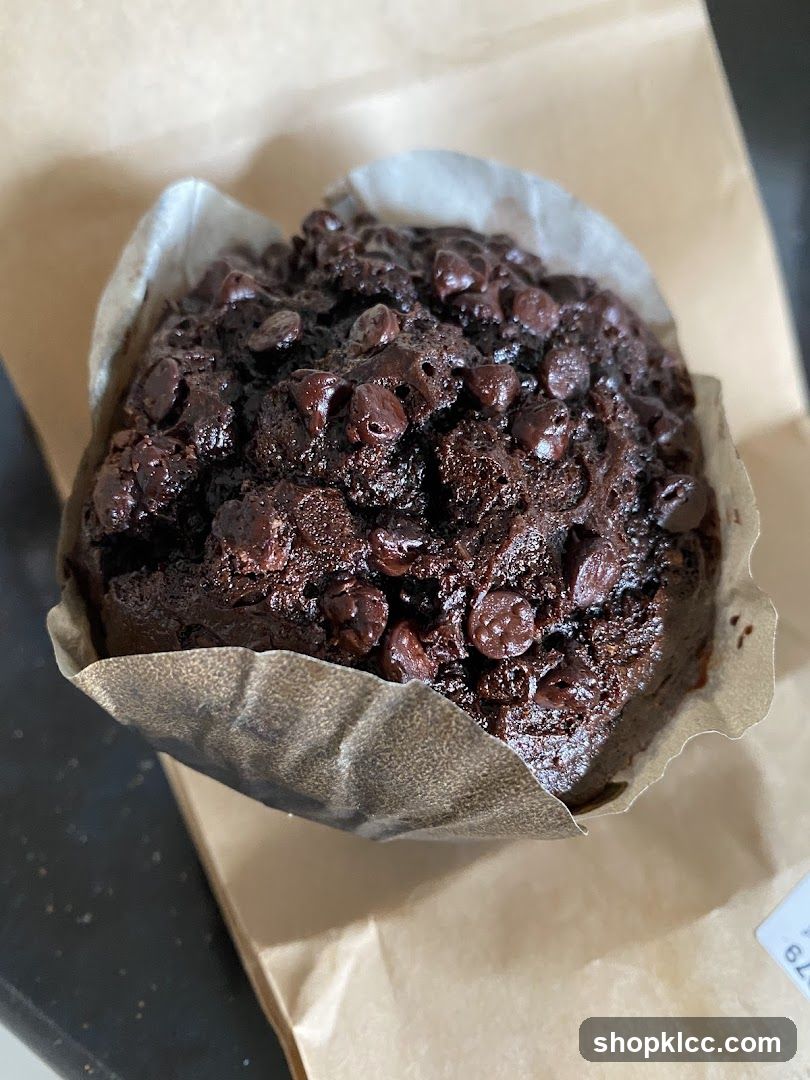 Chocolate Chip Muffin