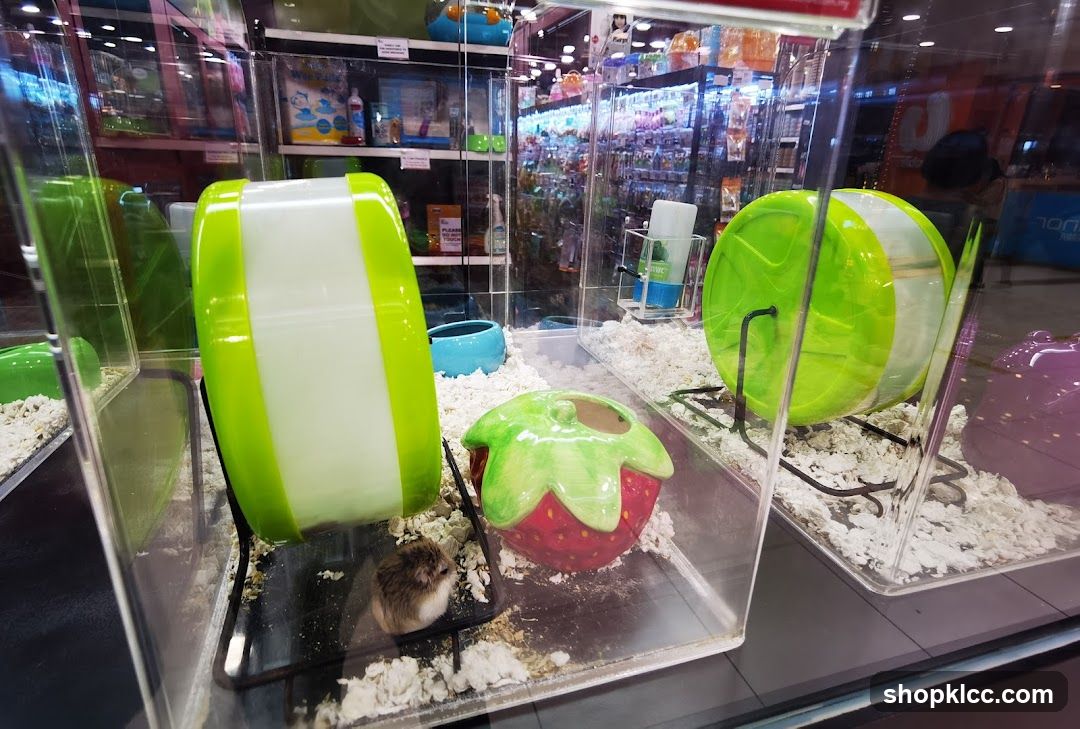 Pet Store Display