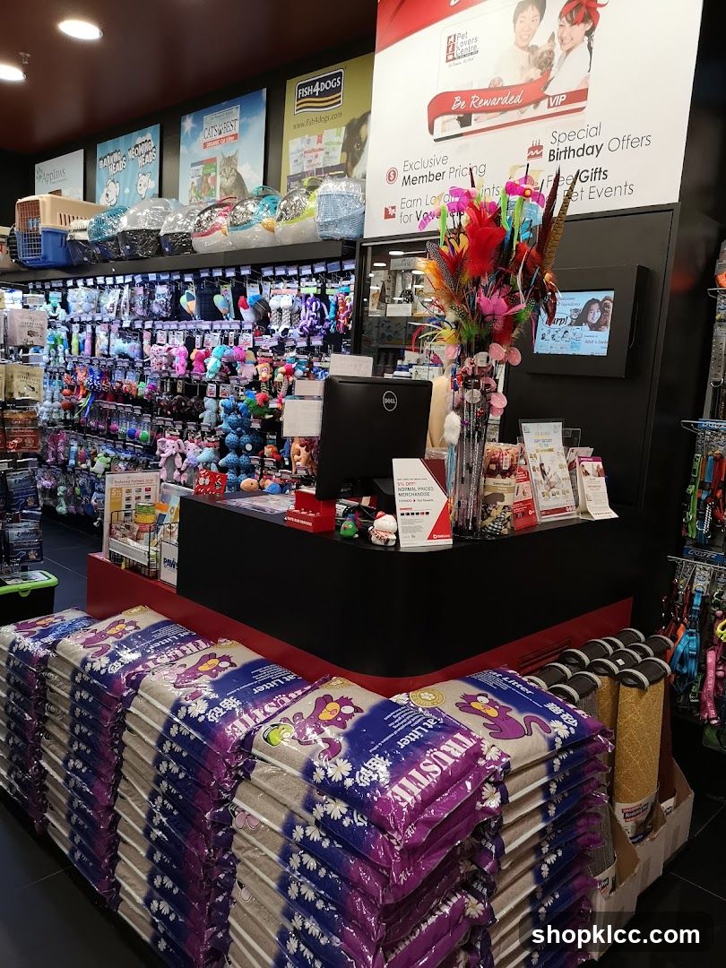 Pet Store Interior