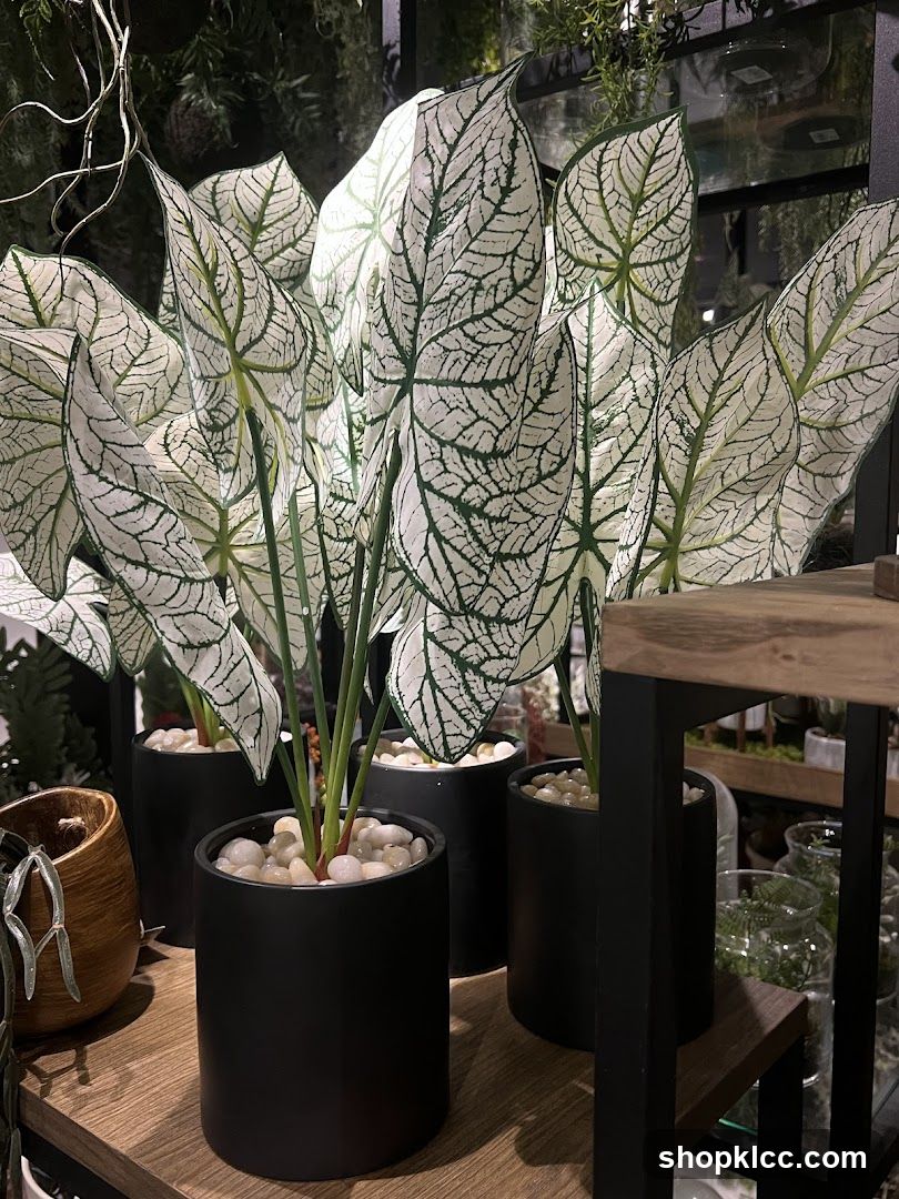 Artificial Caladium Plants