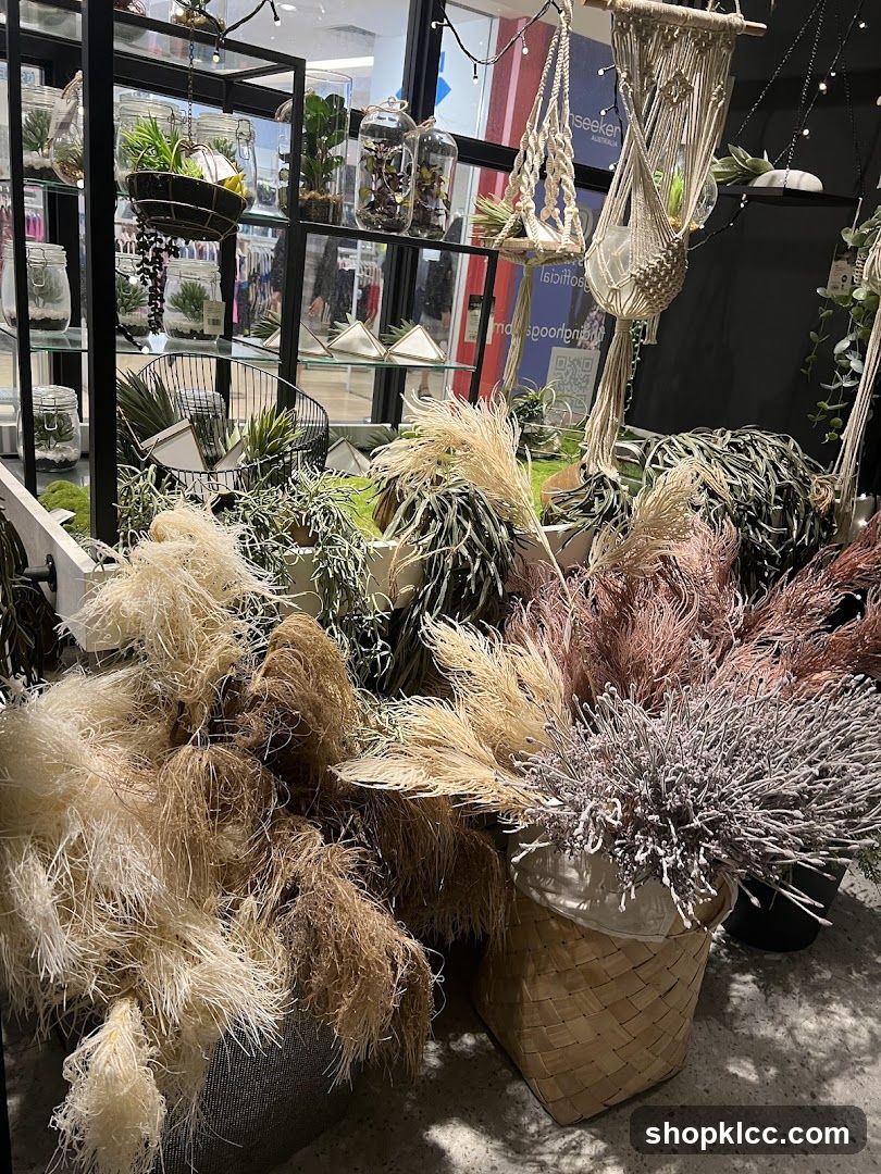 Dried floral arrangements and plants