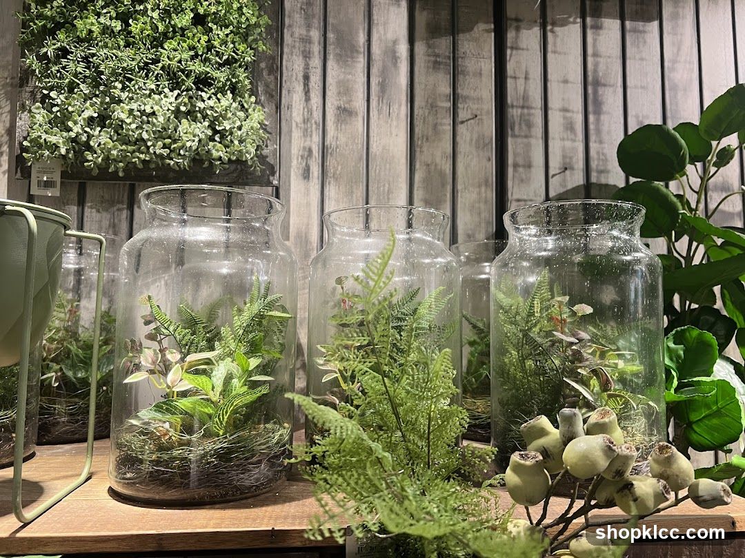Terrariums with plants
