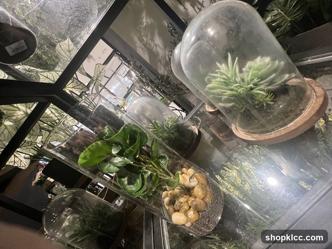 Terrarium Display