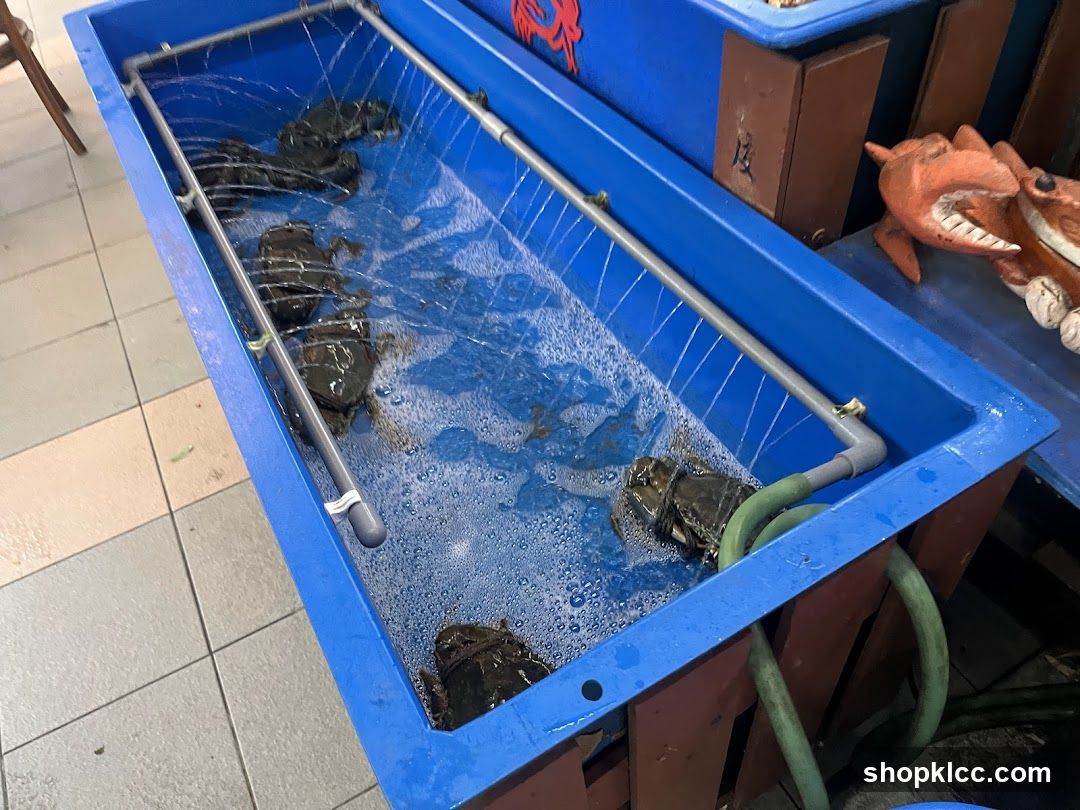 Live Crabs in Tank